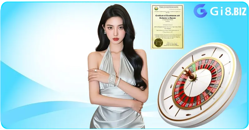 Giới Thiệu Chung Về Giấy Phép Hoạt Động GI8