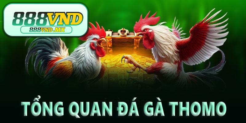 Tổng quan đá gà Thomo